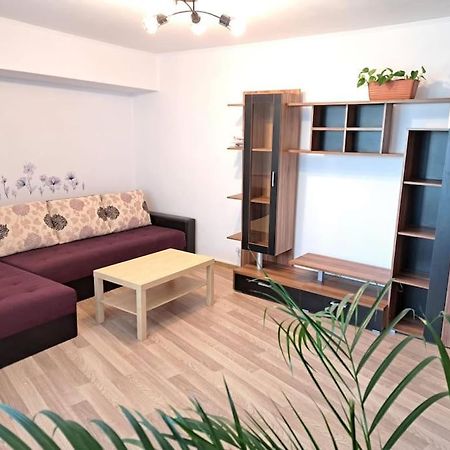 Apartament Titulescu/Banu Manta Apartment บูคาเรสต์ ภายนอก รูปภาพ